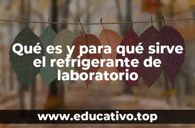 Qué es y para qué sirve el refrigerante de laboratorio