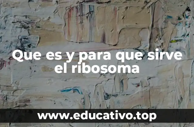 Que es y para que sirve el ribosoma