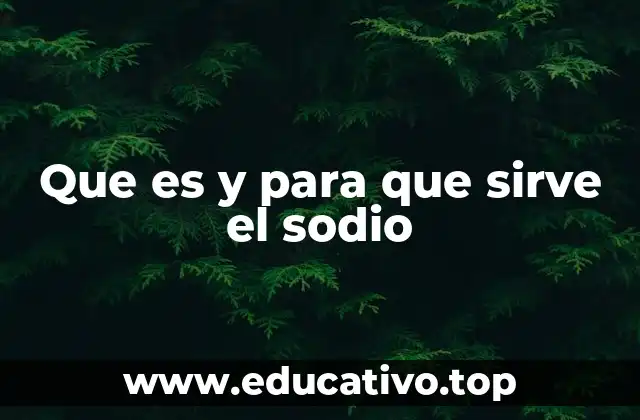 Que es y para que sirve el sodio