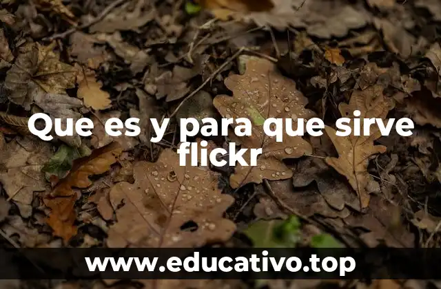 Cómo Flickr se diferencia de otras plataformas de almacenamiento de fotos