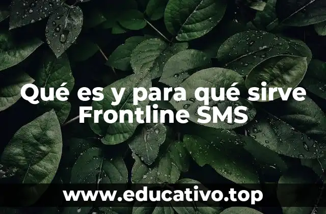 Qué es y para qué sirve Frontline SMS