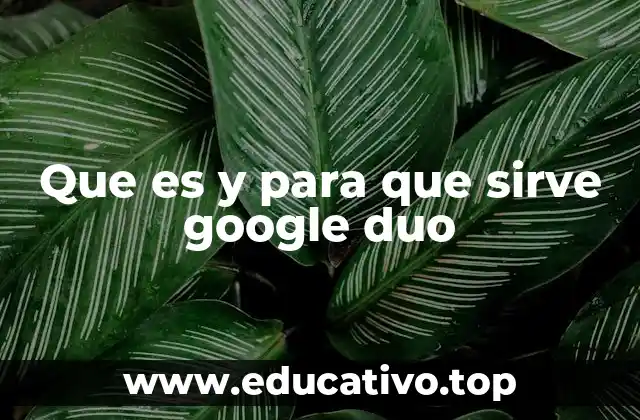 Que es y para que sirve google duo