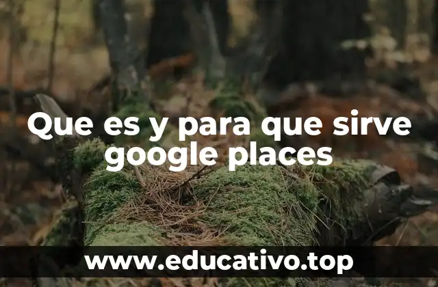 Que es y para que sirve google places