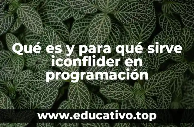 Qué es y para qué sirve iconflider en programación