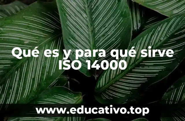 Qué es y para qué sirve ISO 14000