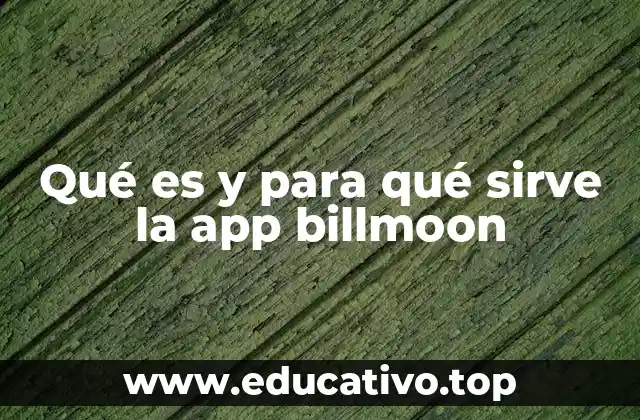 Qué es y para qué sirve la app billmoon