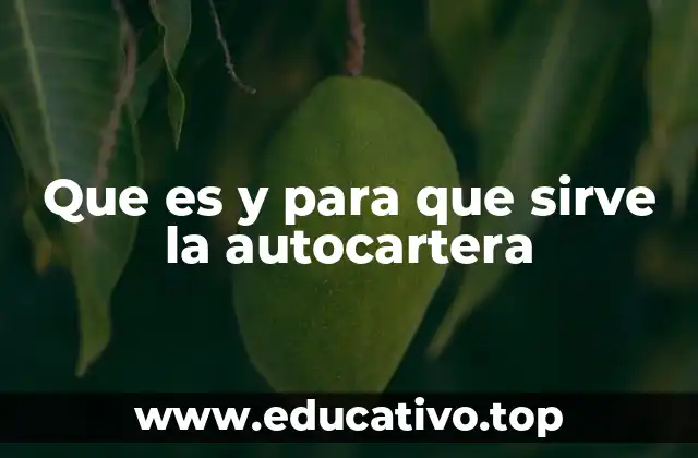 Que es y para que sirve la autocartera