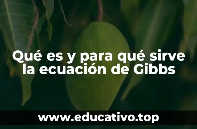 Qué es y para qué sirve la ecuación de Gibbs