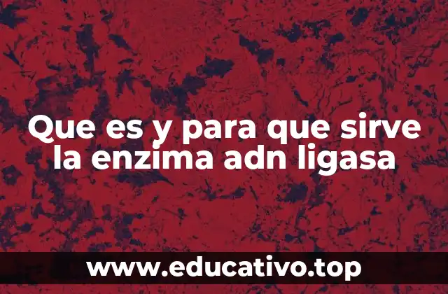 Que es y para que sirve la enzima adn ligasa