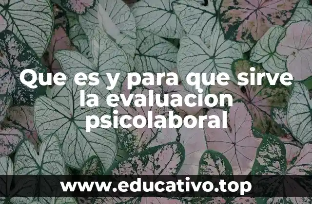 Que es y para que sirve la evaluacion psicolaboral