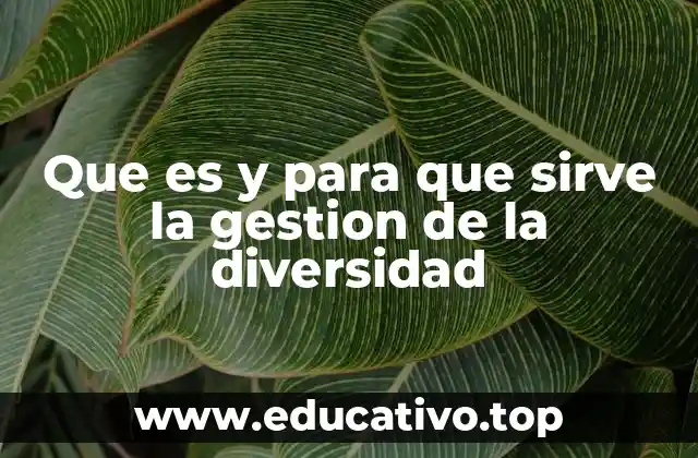 Que es y para que sirve la gestion de la diversidad