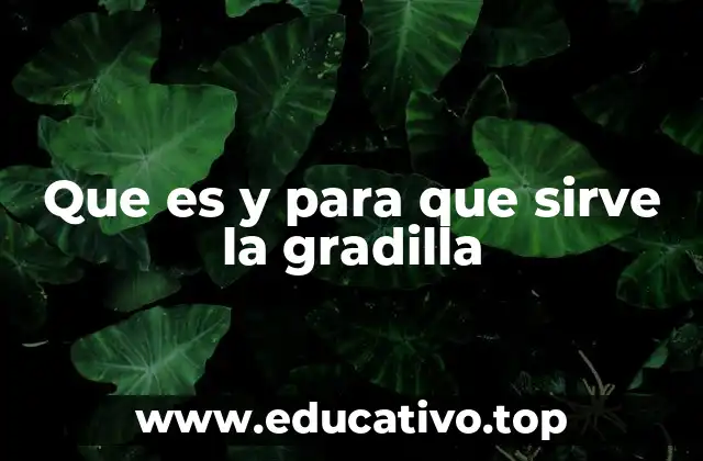 Que es y para que sirve la gradilla