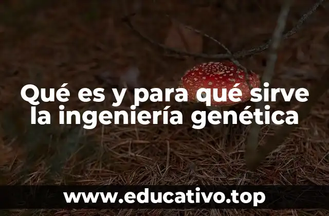Qué es y para qué sirve la ingeniería genética