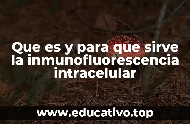 Que es y para que sirve la inmunofluorescencia intracelular