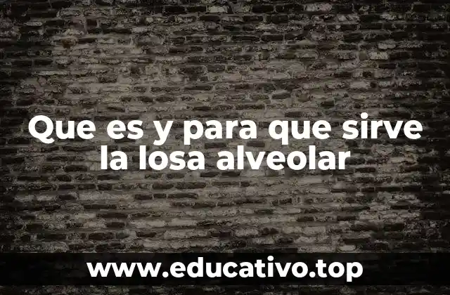 Que es y para que sirve la losa alveolar