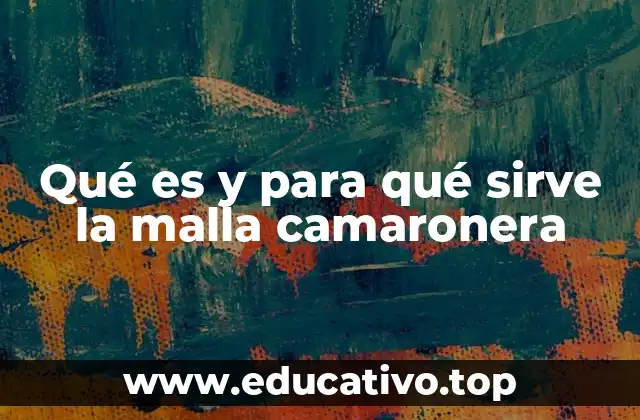 Qué es y para qué sirve la malla camaronera