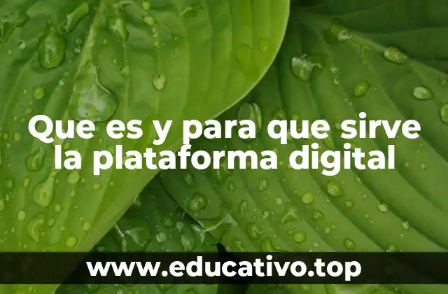 Que es y para que sirve la plataforma digital