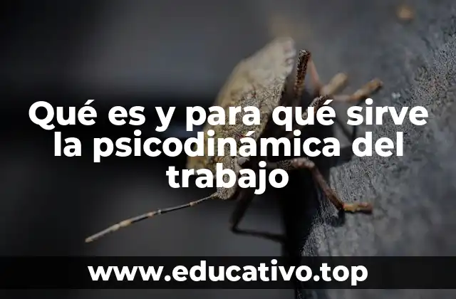 Qué es y para qué sirve la psicodinámica del trabajo