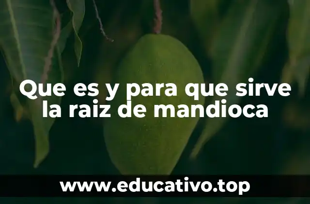 La raíz de mandioca en la alimentación de los pueblos tradicionales