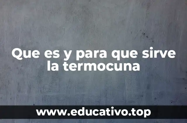 Que es y para que sirve la termocuna
