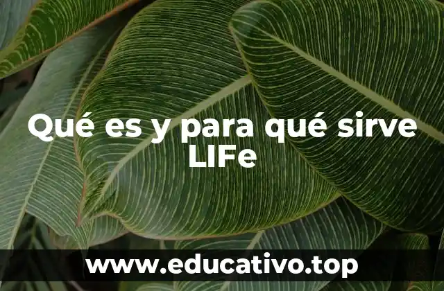 Qué es y para qué sirve LIFe