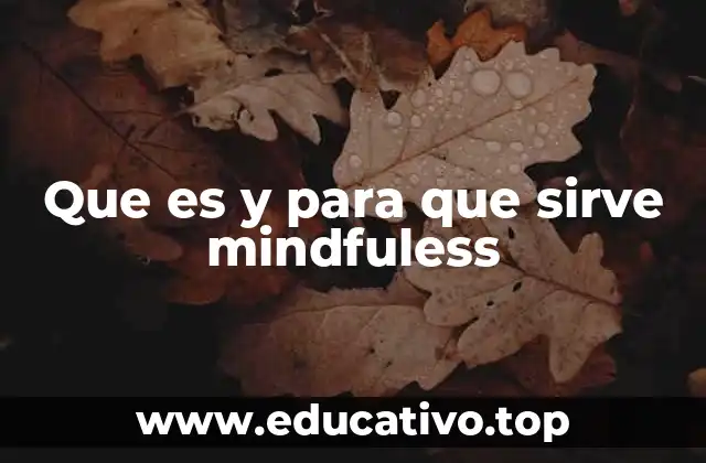 Que es y para que sirve mindfuless