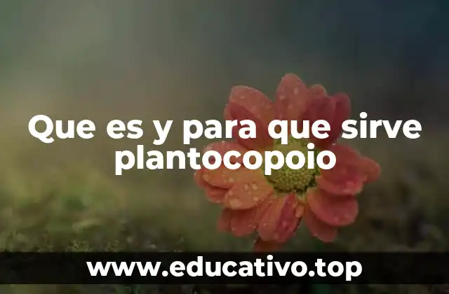 Que es y para que sirve plantocopoio