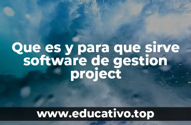 Que es y para que sirve software de gestion project