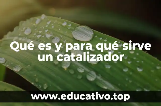 Qué es y para qué sirve un catalizador