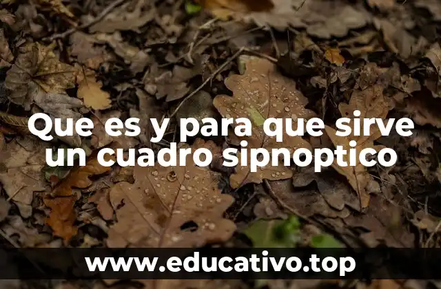 Que es y para que sirve un cuadro sipnoptico