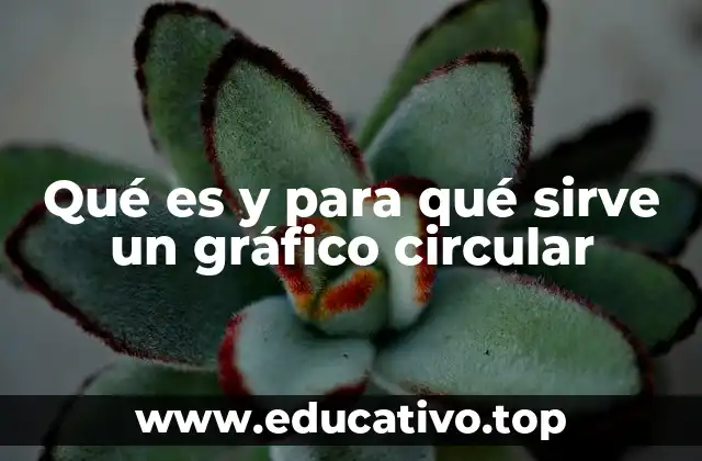 Qué es y para qué sirve un gráfico circular