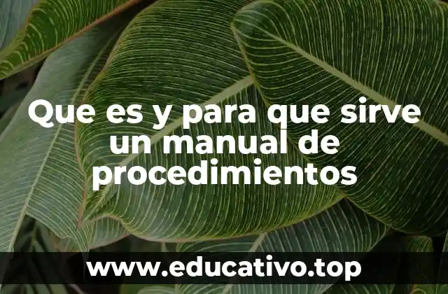 Que es y para que sirve un manual de procedimientos