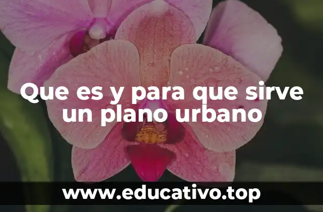 Que es y para que sirve un plano urbano