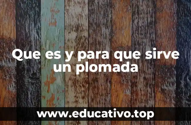 Que es y para que sirve un plomada