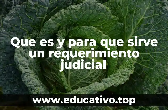 Que es y para que sirve un requerimiento judicial