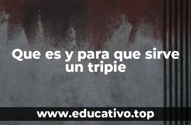 El soporte esencial para la estabilidad en la captura de imágenes