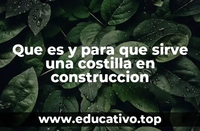 Que es y para que sirve una costilla en construccion