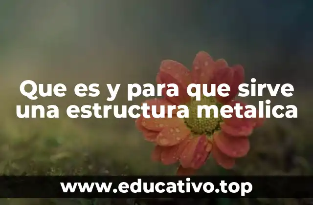 Que es y para que sirve una estructura metalica