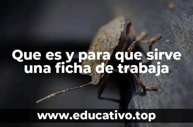 Que es y para que sirve una ficha de trabaja