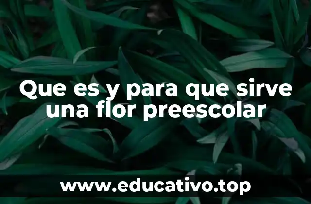 Que es y para que sirve una flor preescolar