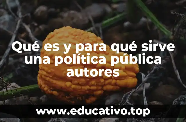 Qué es y para qué sirve una política pública autores