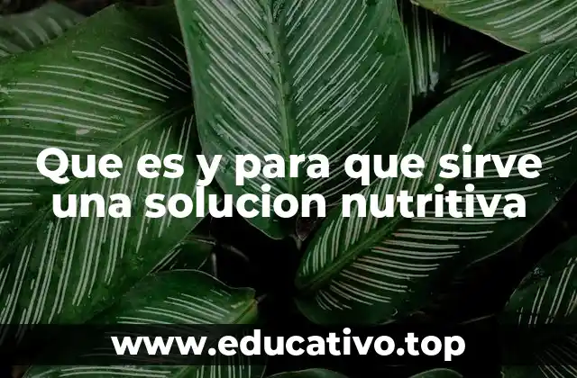 Que es y para que sirve una solucion nutritiva