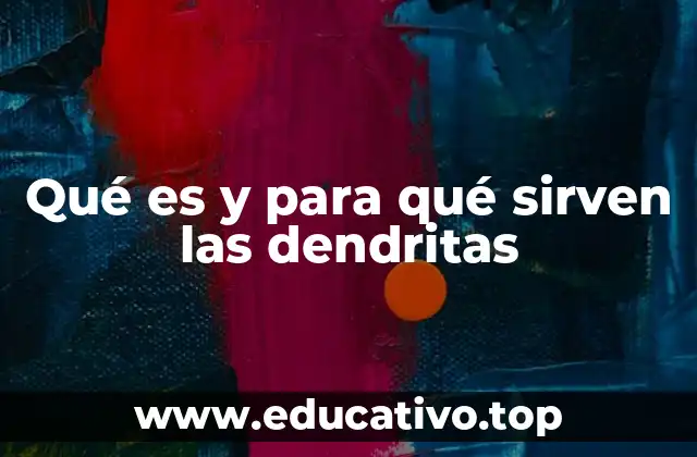 Qué es y para qué sirven las dendritas