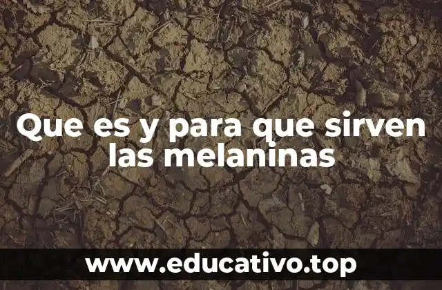 Que es y para que sirven las melaninas