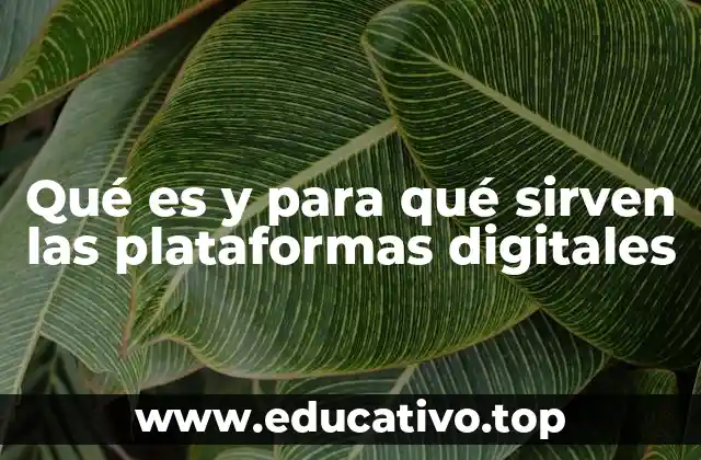 Qué es y para qué sirven las plataformas digitales