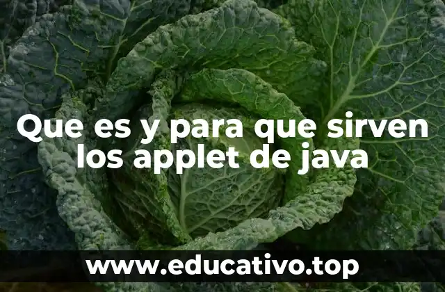 Que es y para que sirven los applet de java
