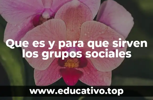 Que es y para que sirven los grupos sociales