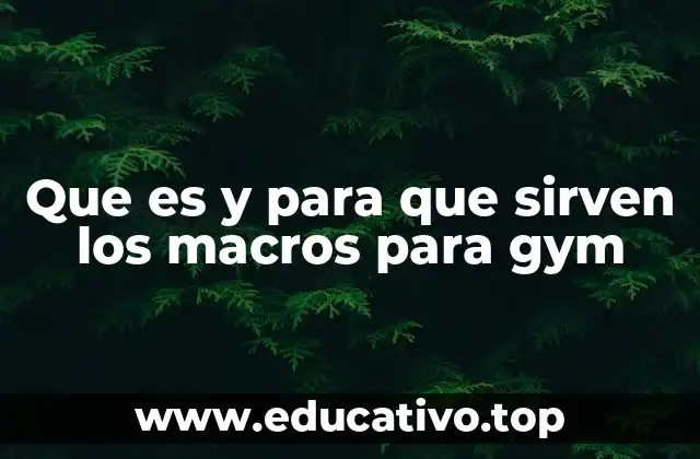 Que es y para que sirven los macros para gym