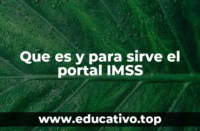 Acceso digital a la seguridad social en México