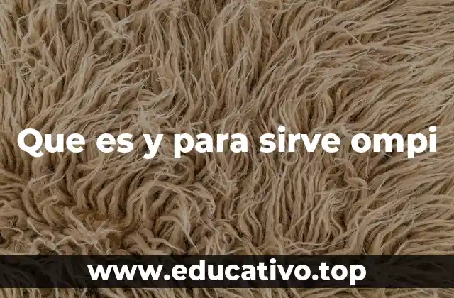 Que es y para sirve ompi